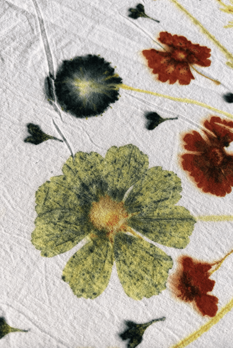 OddBird Accessories Multi-color Floral Dogwood Dyer Eco-printing Multi-Floral Press Kit