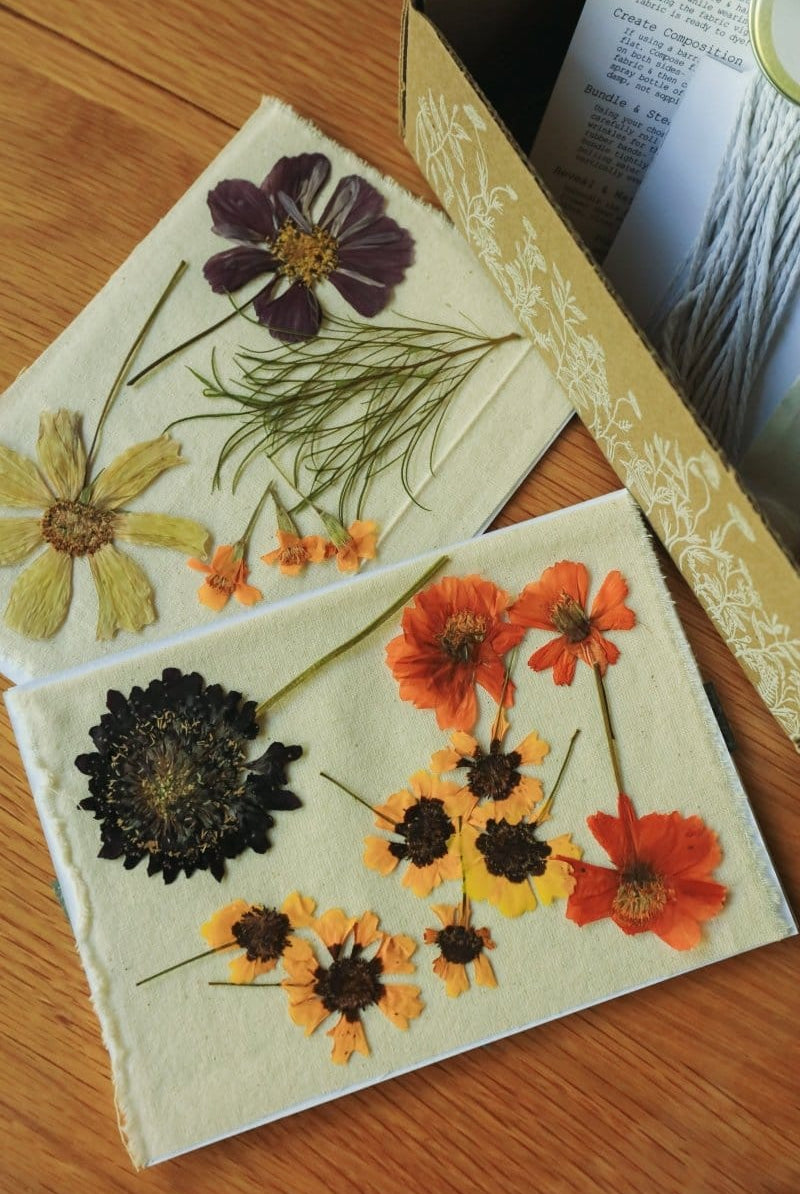 OddBird Accessories Multi-color Floral Dogwood Dyer Eco-printing Multi-Floral Press Kit