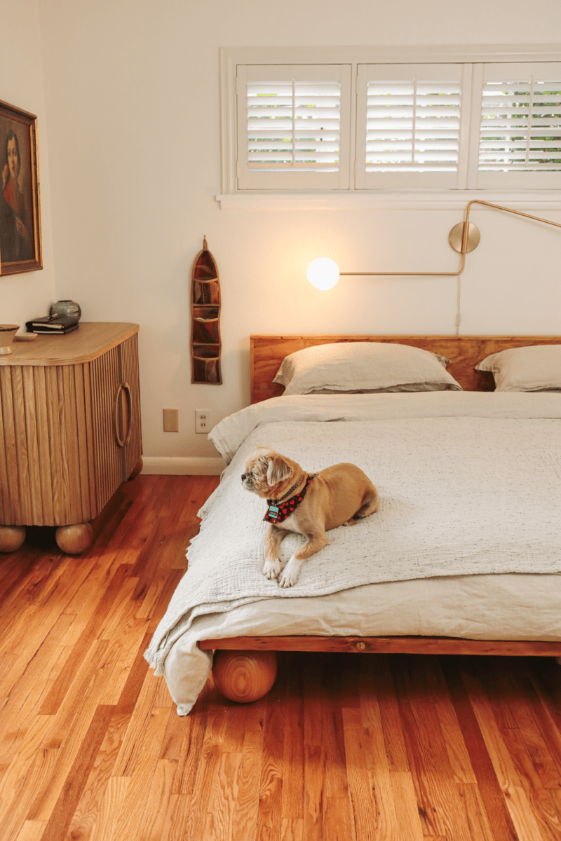 OddBird Blankets Limited Edition Pamuk Blanket