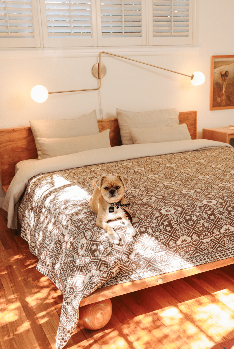 OddBird Blankets Chocolate Brown *NEW* Limited Edition Mosaic Handwoven Blanket - King