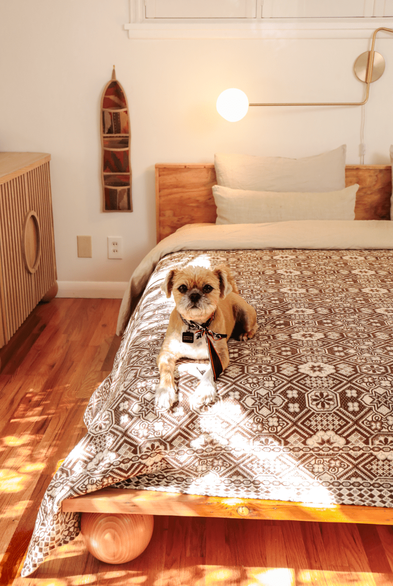 OddBird Blankets *NEW* Limited Edition Mosaic Handwoven Blanket - King