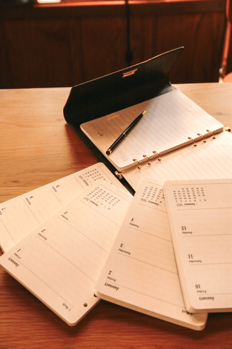 OddBird Accessories Oddbird Daily - Luxury Journal & Planner