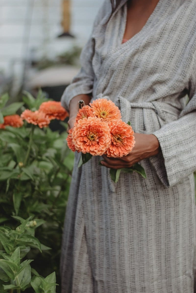 OddBird Robes Damat Robe Collection