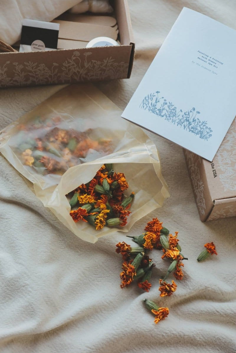 OddBird Accessories Dogwood Dyer Natural Marigold Dye Kit