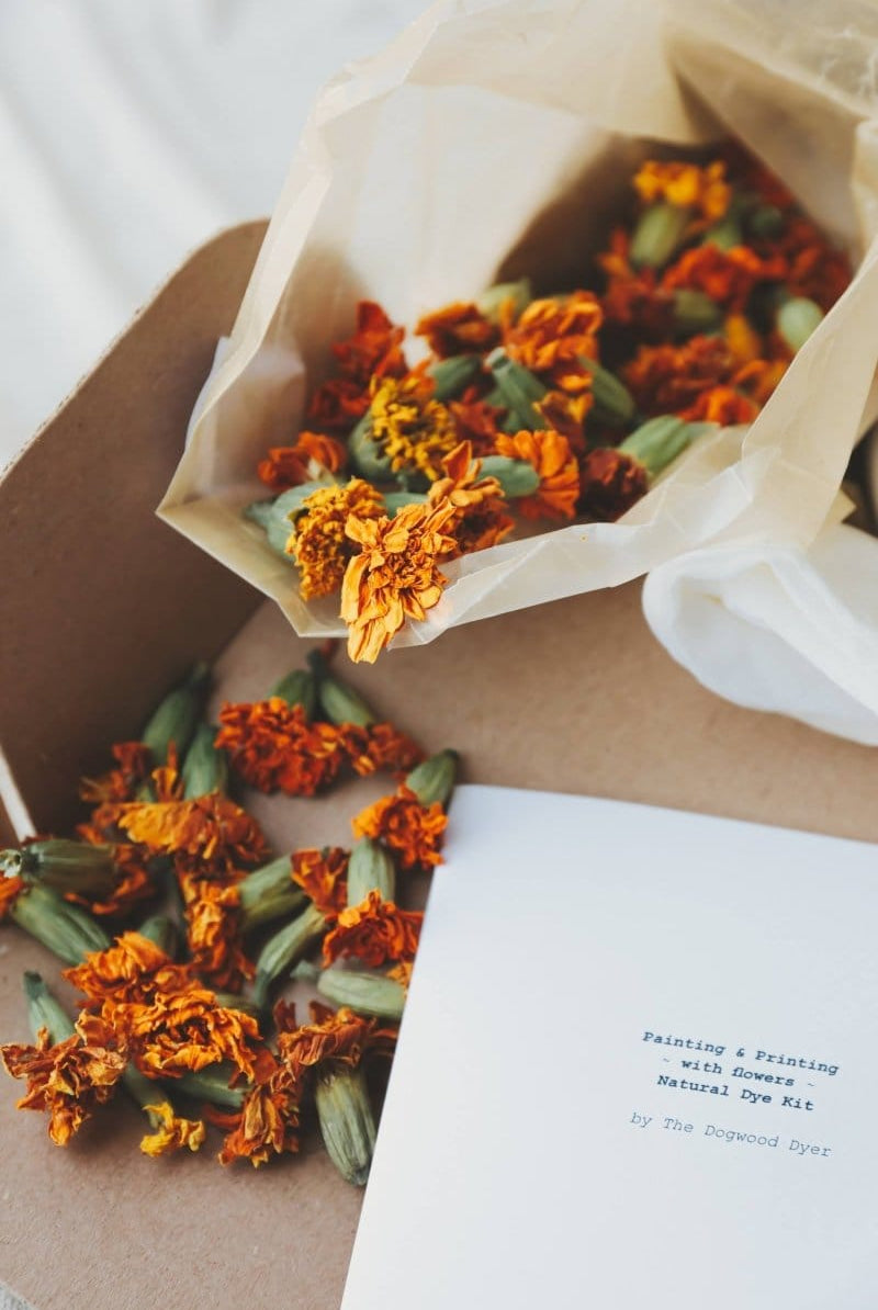 OddBird Accessories Dogwood Dyer Natural Marigold Dye Kit