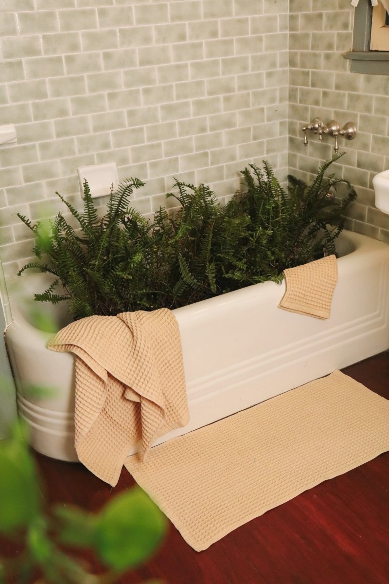 Limited Edition Deep Waffle Trio - TLEWAFSETOLIV - OddBird Co.