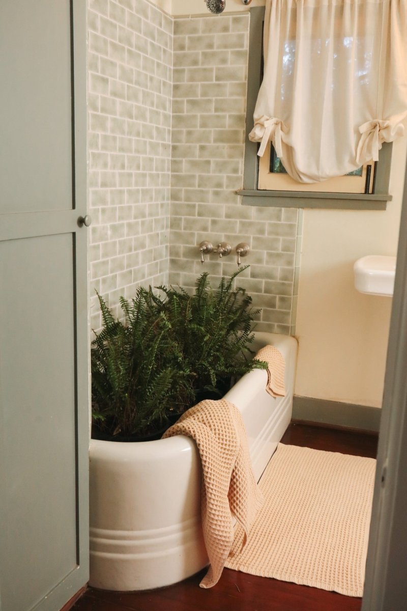 Limited Edition Deep Waffle Trio - TLEWAFSETOLIV - OddBird Co.