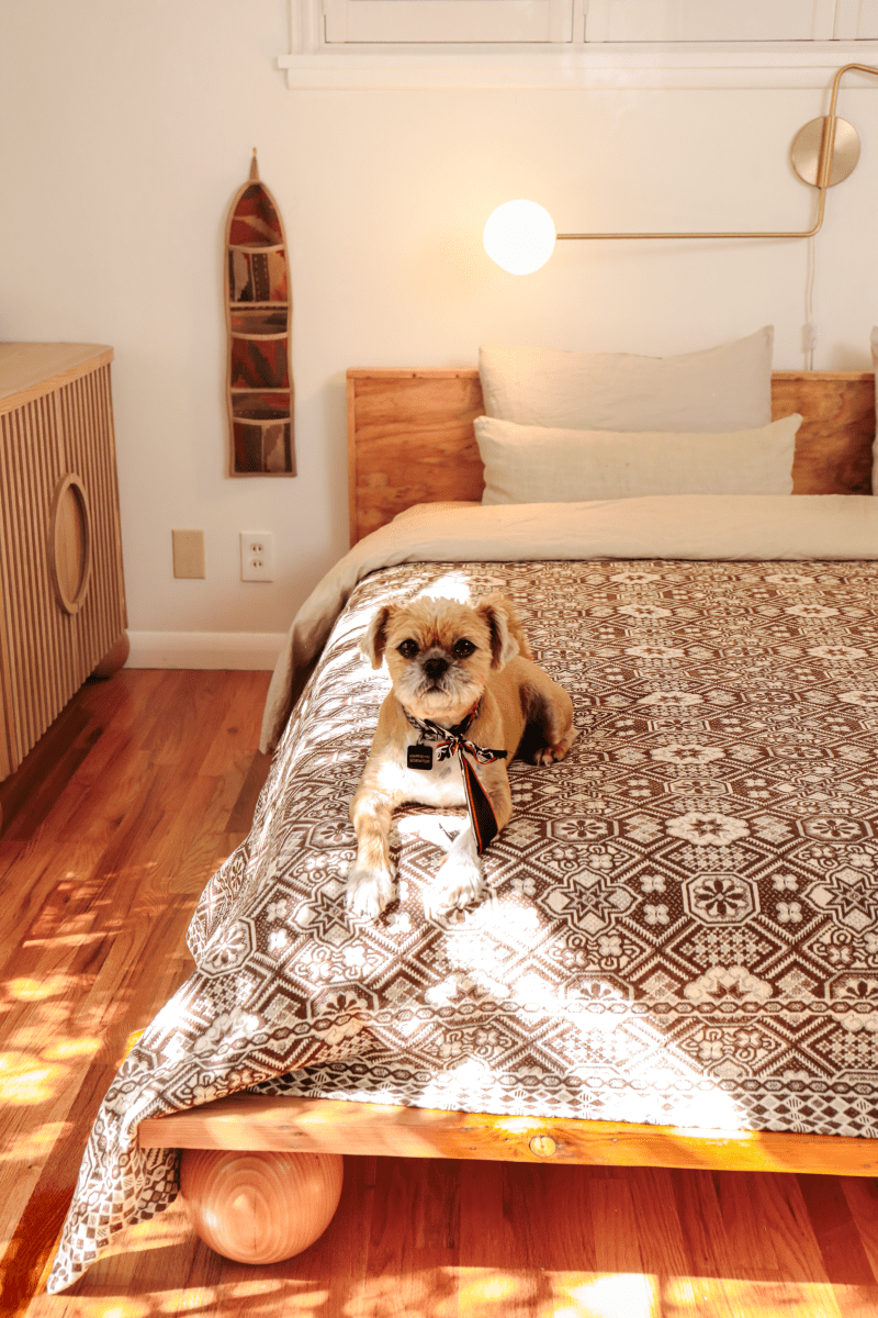 OddBird Blankets *NEW* Limited Edition Mosaic Handwoven Blanket - King