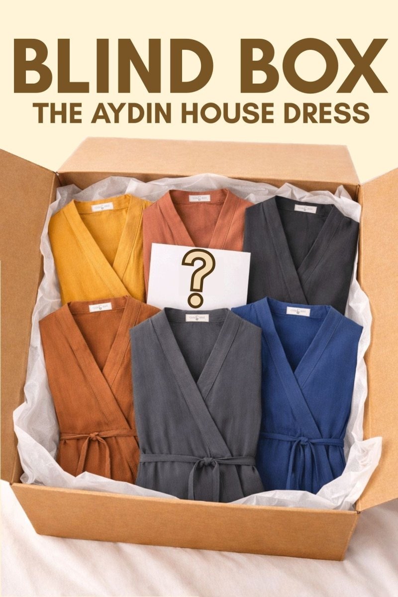 The Aydin Dress - Blind Box - MYSTERYAYDINXS - OddBird Co.