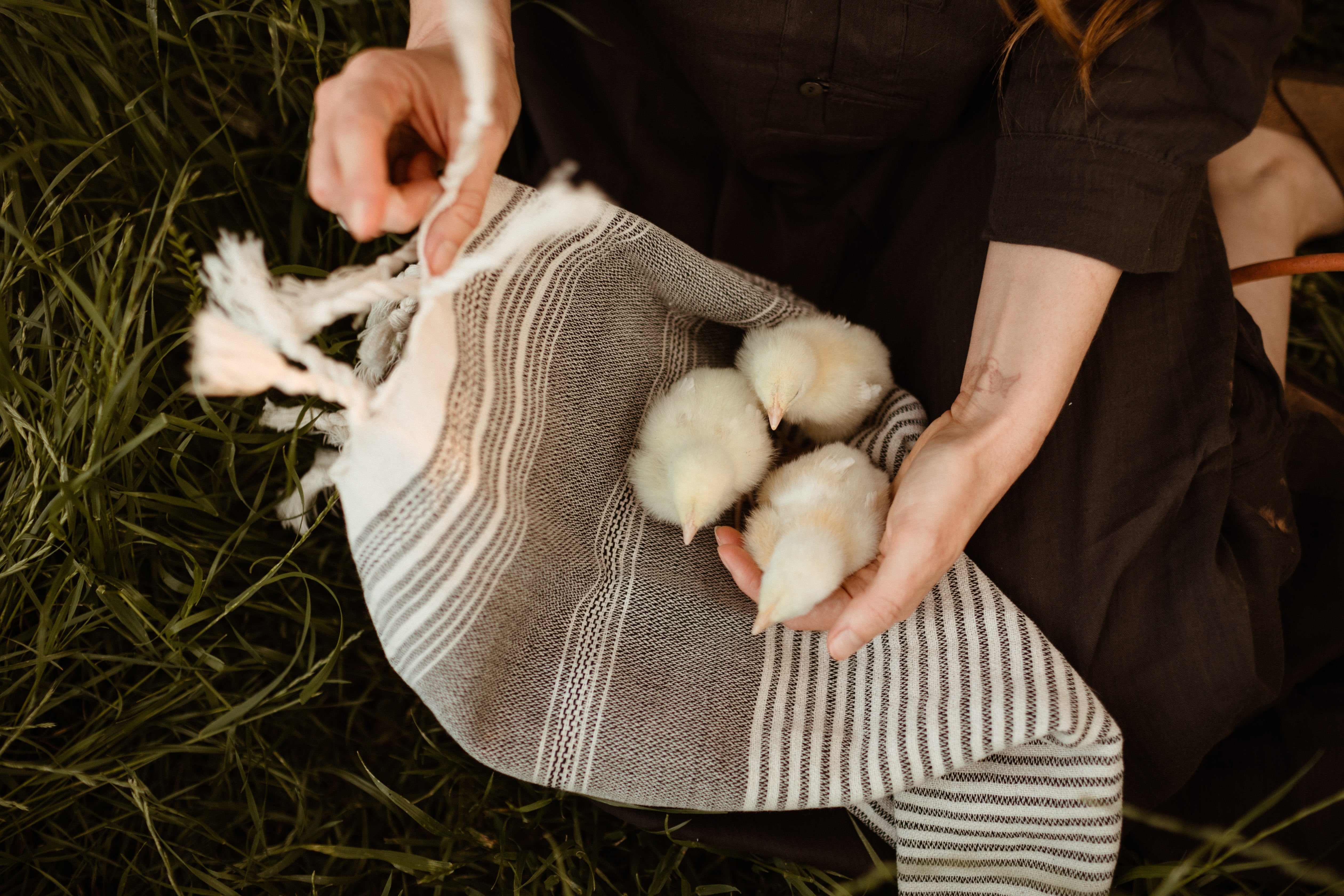 Oddbird towels top