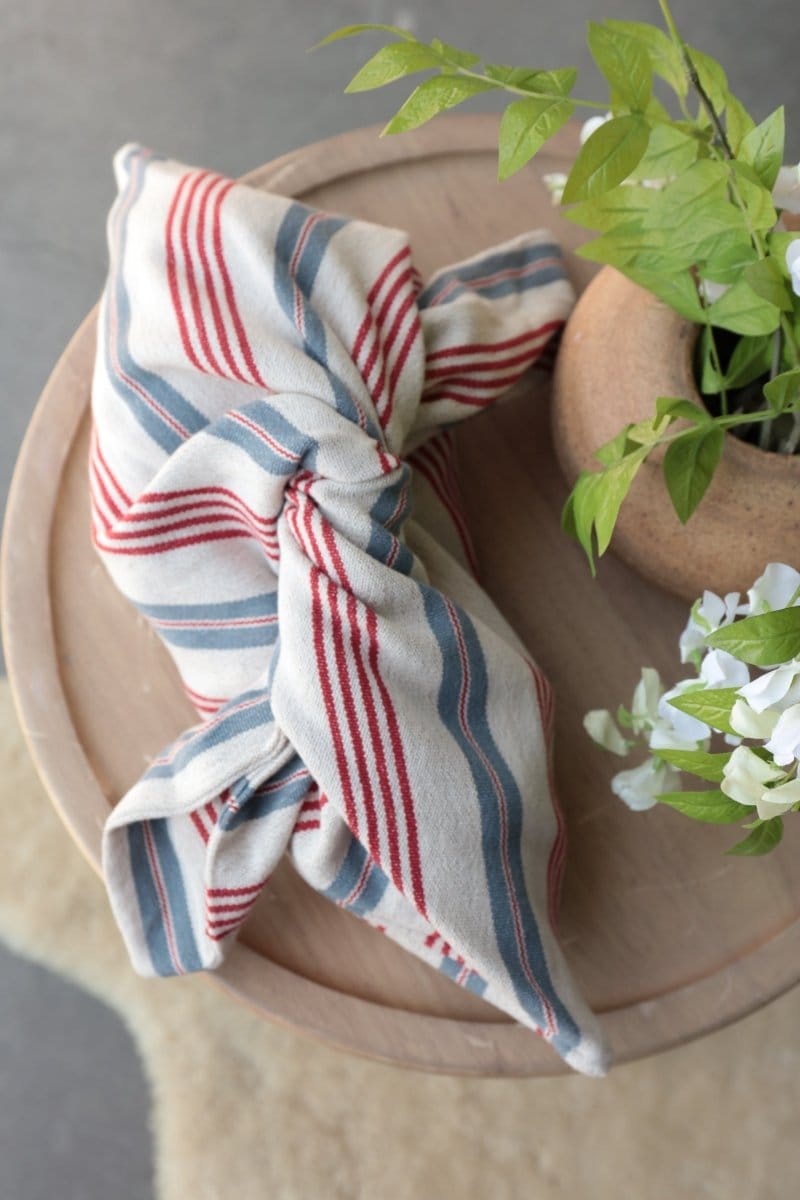 OddBird Accessories Nehir ( Red and Blue Stripe) Waste Not Want Not - Bento Bag